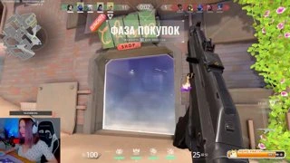 туя