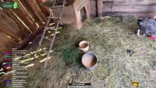 ПЕРВОЕ ЯЙЦО