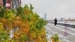 как покорить девушку