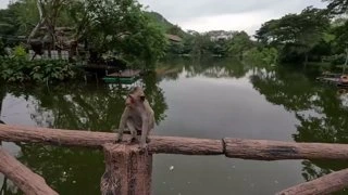 Подарил очки