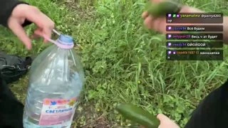 Огурчики... Флешмобчик