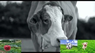 маруша в прайме