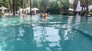 БЕМС