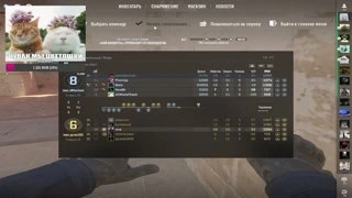 video 01.11.2025