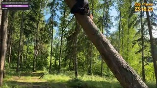 Поля  лега