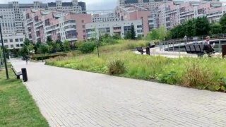 лицо девачки хуй знает кто блдять