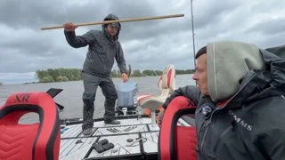 Есть плотвичка