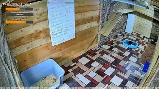 скалолазание