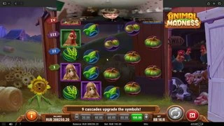 курим ребят сигары