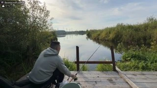 Идеальный Живец