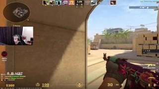 donk????????