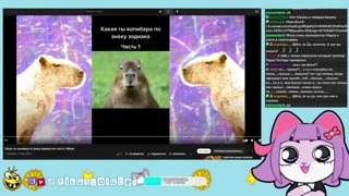 обычный стрим феки 