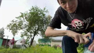 ДАЧНИК