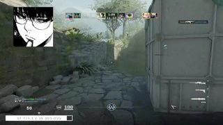 awp wp
