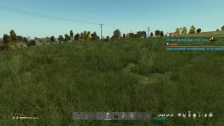 передоз медведия