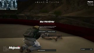 лысая чивапчича