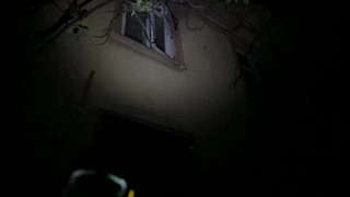 оно в говне