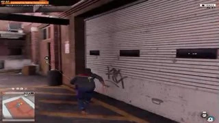 watch dogs