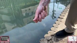 рыба не дохлая отвечаю