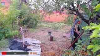 помидорки с сахаром