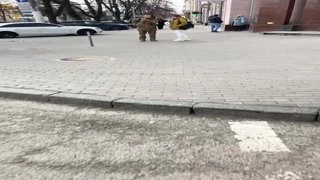 Геншинята
