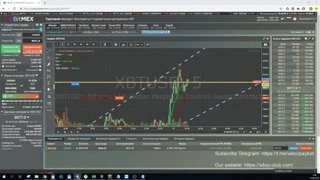 Будние дни новичка из WBCC CLUB - 0,5 до 200 BTC!