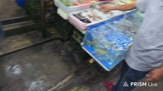 пальчик ам