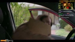 Максим чугунно осуждает страх