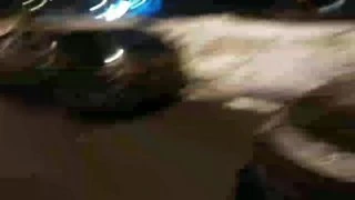 го трахаться