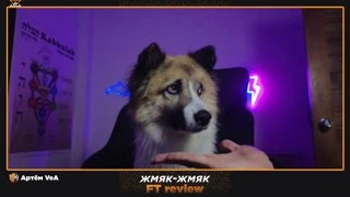 Бой ведёт жмяк-жмяк