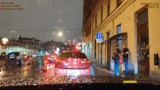 Самец в поисках самки