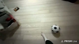 рвпахрхвхаырххвапхр