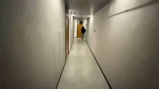 Бегает по полю