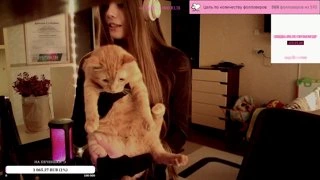 хороший кот, послушный