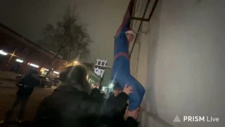 человек паук спасает кошку