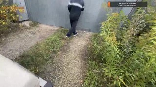 НАПАДЕНИЕ ОВЧАРКИ НОРЫ