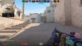 ace
