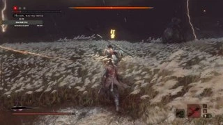 Sekiro Ласт босс