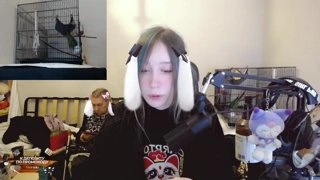 Кофуку ♥ Альмухан