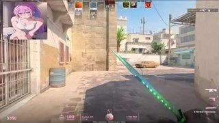 mouse hz