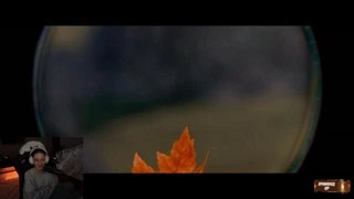 СТРОГО И ГАЕЧКА