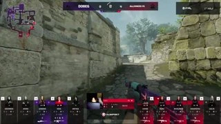 xd