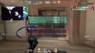 что такое мяу мяу?