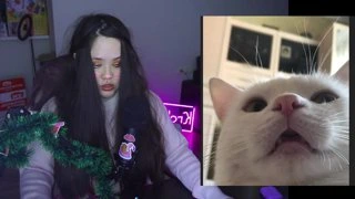 Две блохастые твари на экране