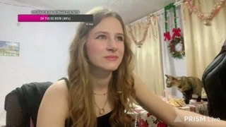 кошка на столе