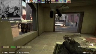 pistol