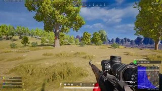 Cheat