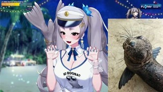 рера и морские котики
