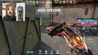 эйс с шорти