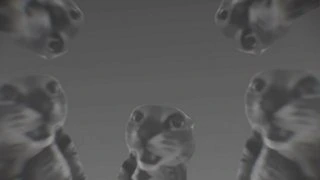YES 